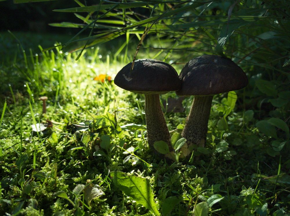 Photograph by Юрий Кольцов