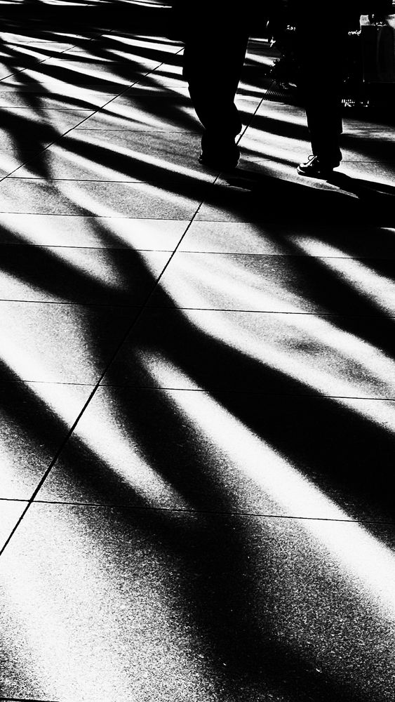 Photograph by Shoho Hiroshi