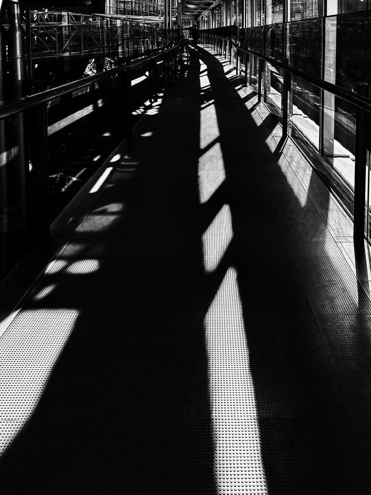 Photograph by Shoho Hiroshi