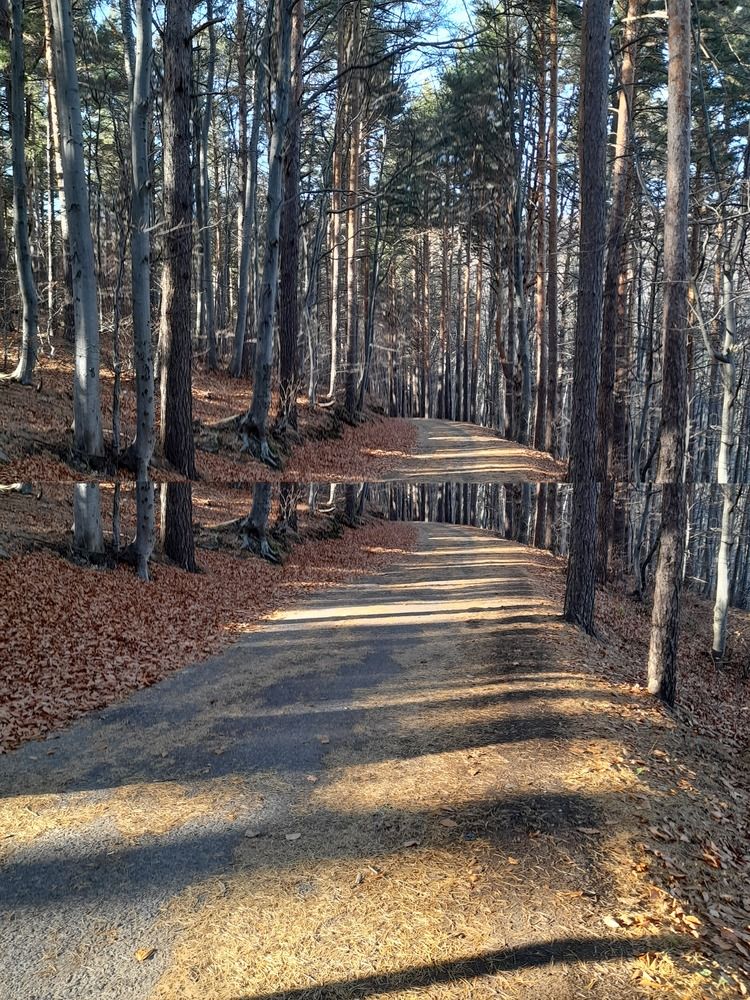 ....shadows of....autumn....