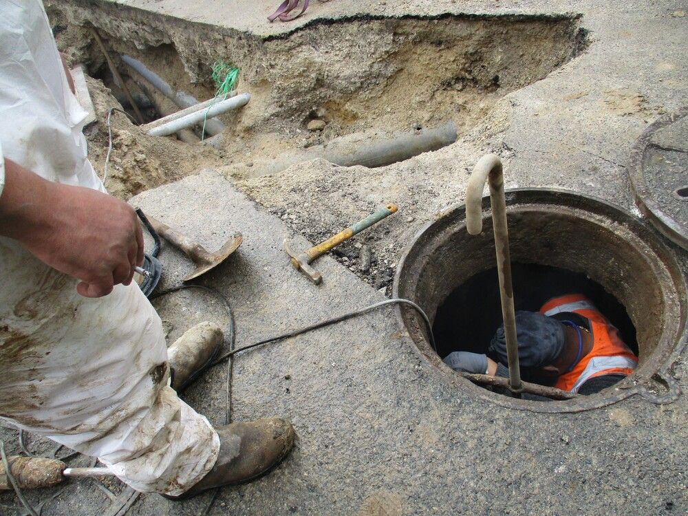 Photograph by Larisa Pirozhnikova