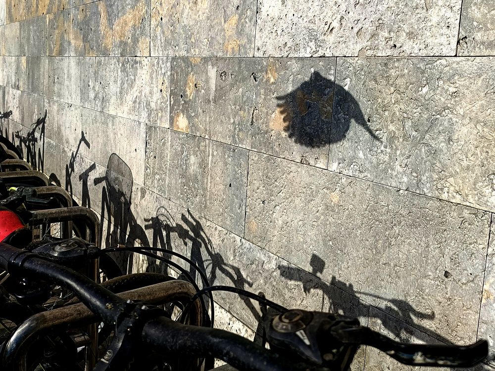 Photograph by Дмитрий Жуков