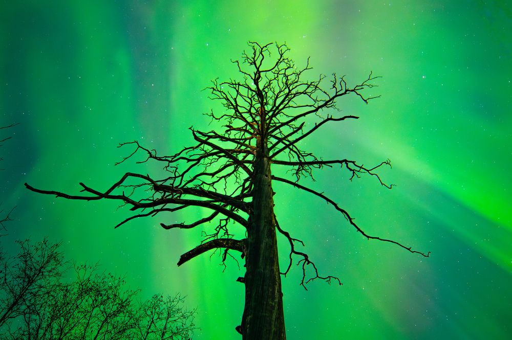 Photograph by Хотеев Александр