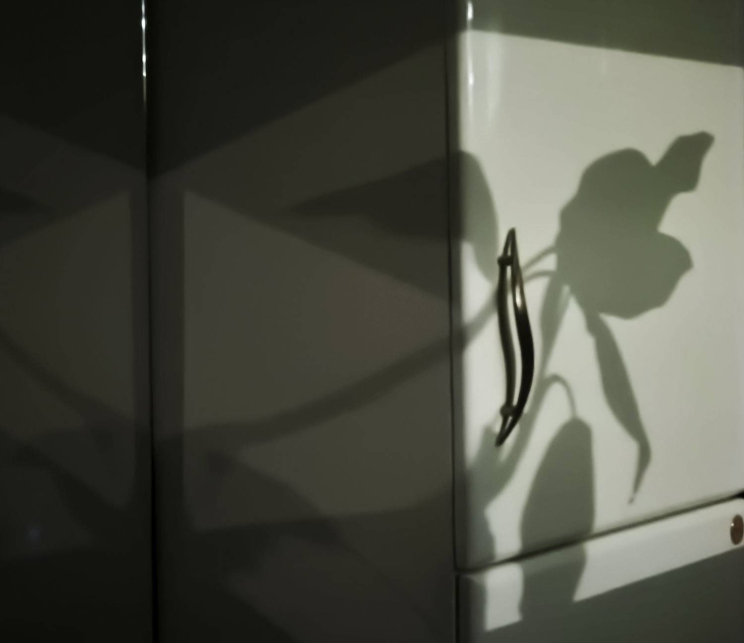 Ночные тени