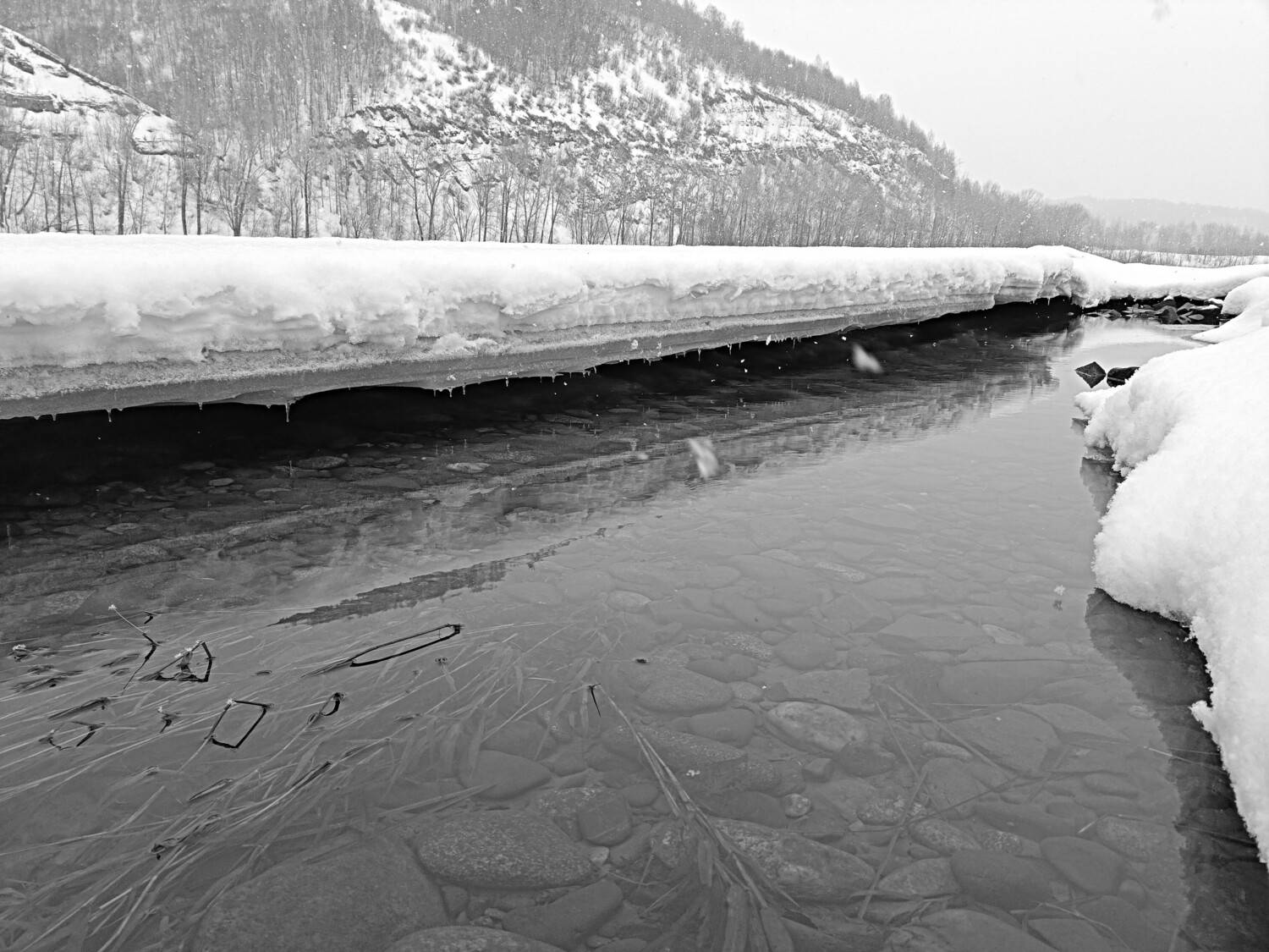 Фотография #13459086