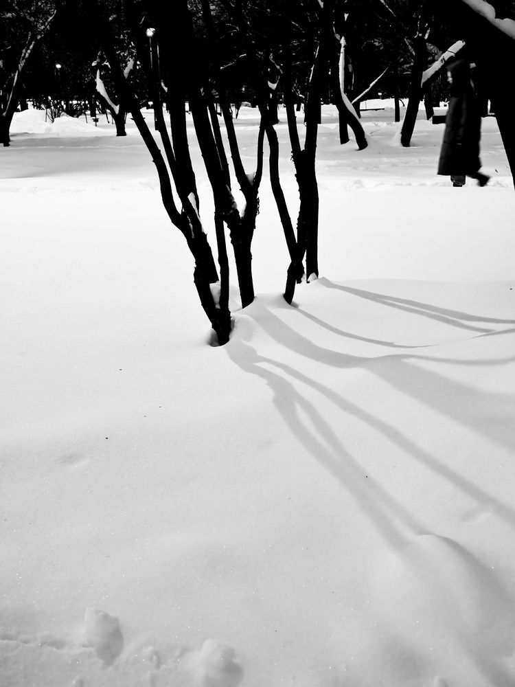 Photograph by Юлия Гришина
