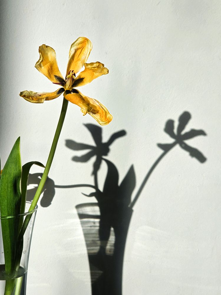 Photograph by Сергей Кесаев