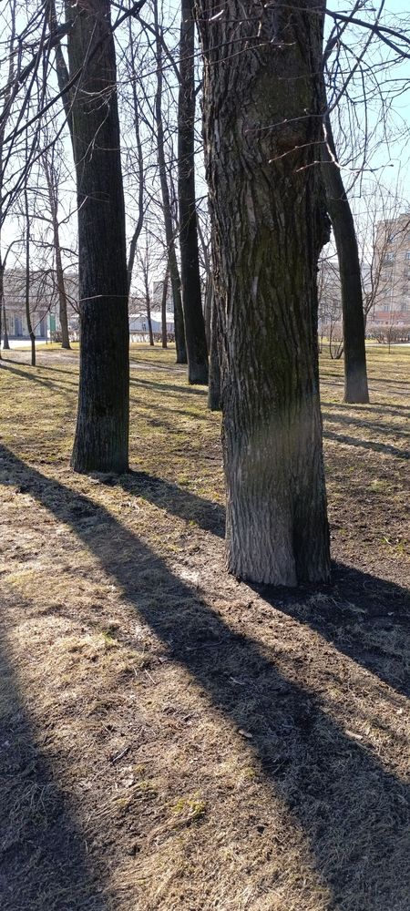 Фотография автора Андрей Тищенко