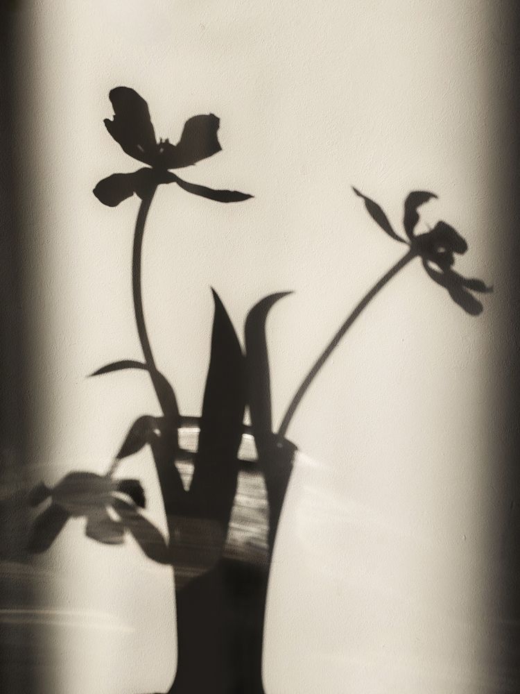 Photograph by Сергей Кесаев