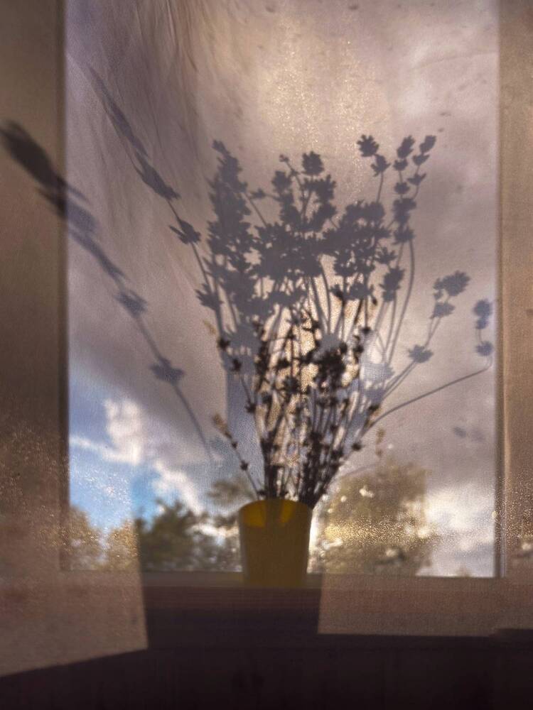 Photograph by Анна Столбова