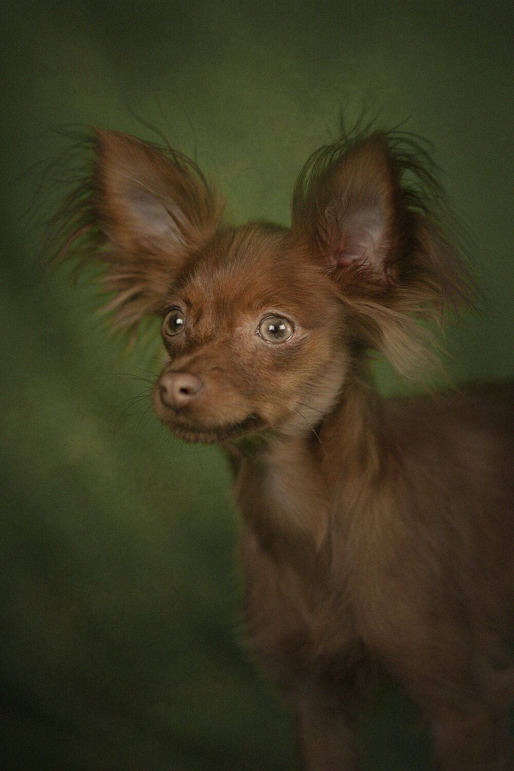 Photo #13459372