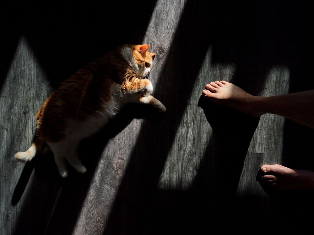 Photograph by Тимофей Шутов