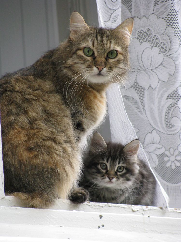 Photograph by Татьяна Петренко