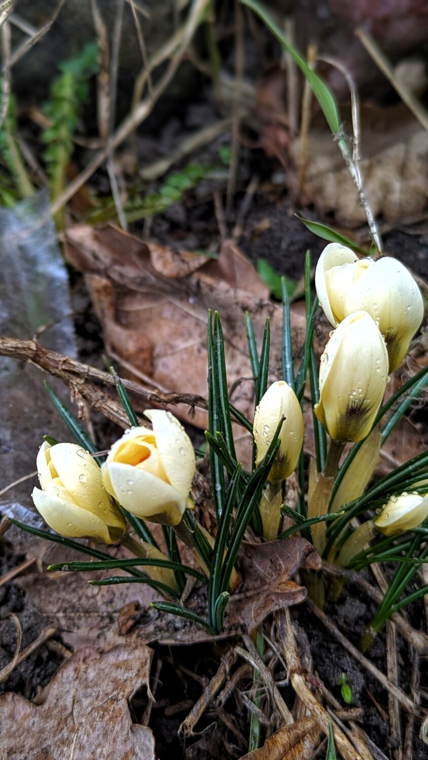 Photo #13459581