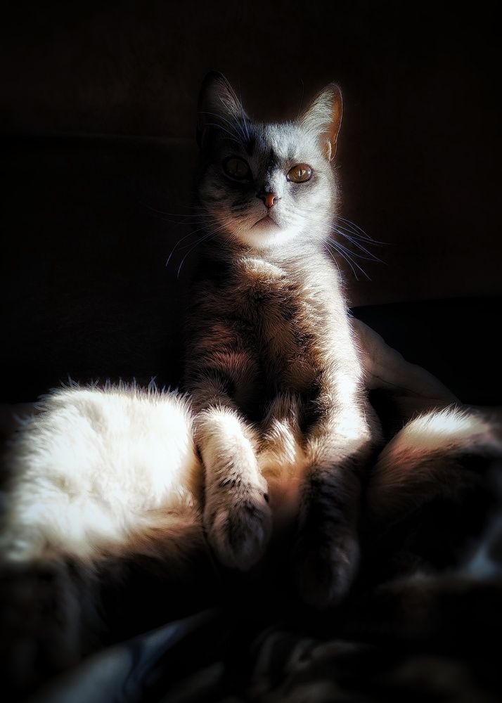 Photograph by Алена Самошина