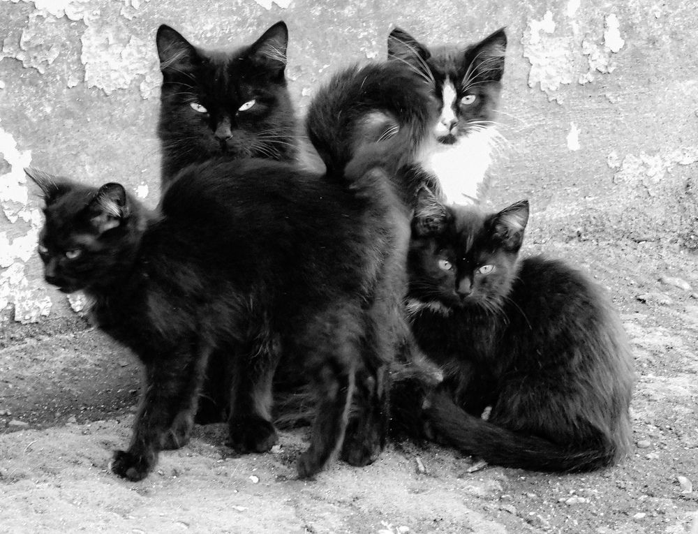 Photograph by Олеся Бронзова