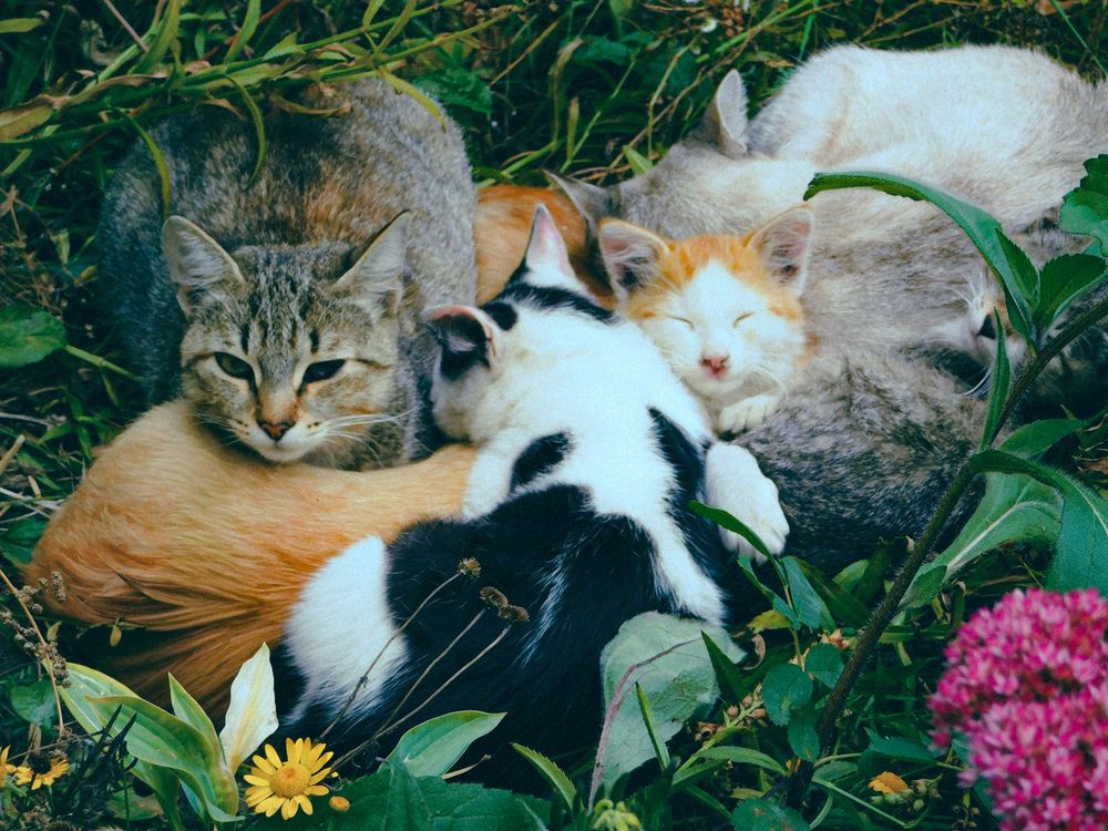 Photograph by Олеся Бронзова