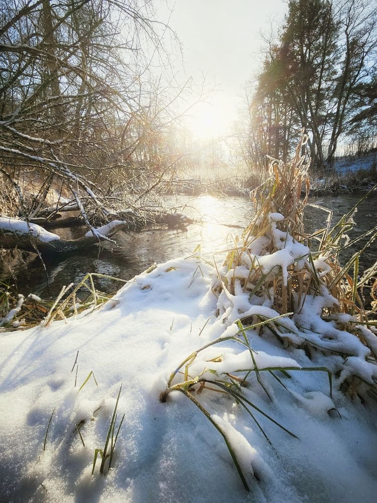 Photograph by Алексей Полуянцевич