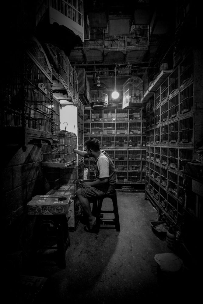 Photograph by DeMa