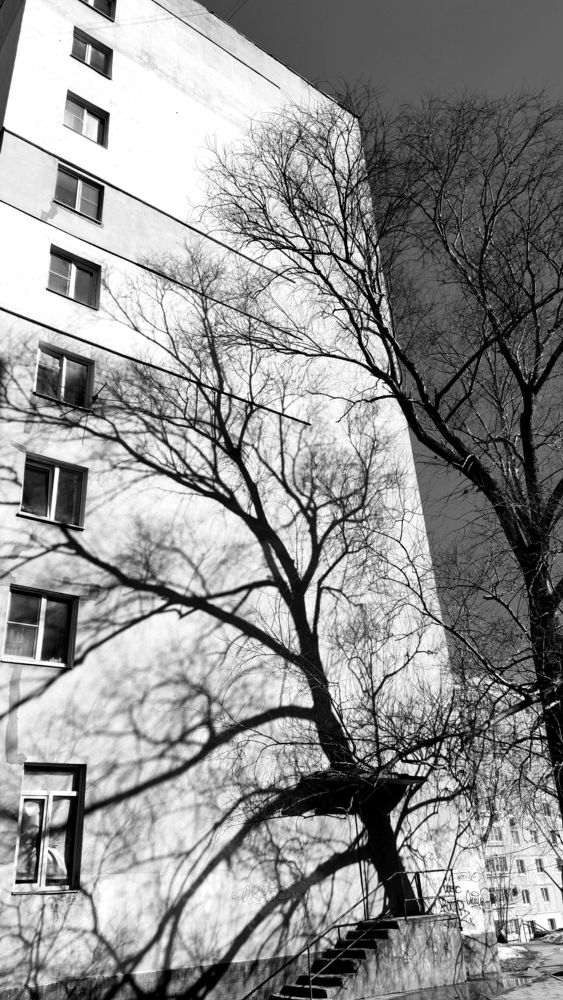 Photograph by Дарья Улюсова