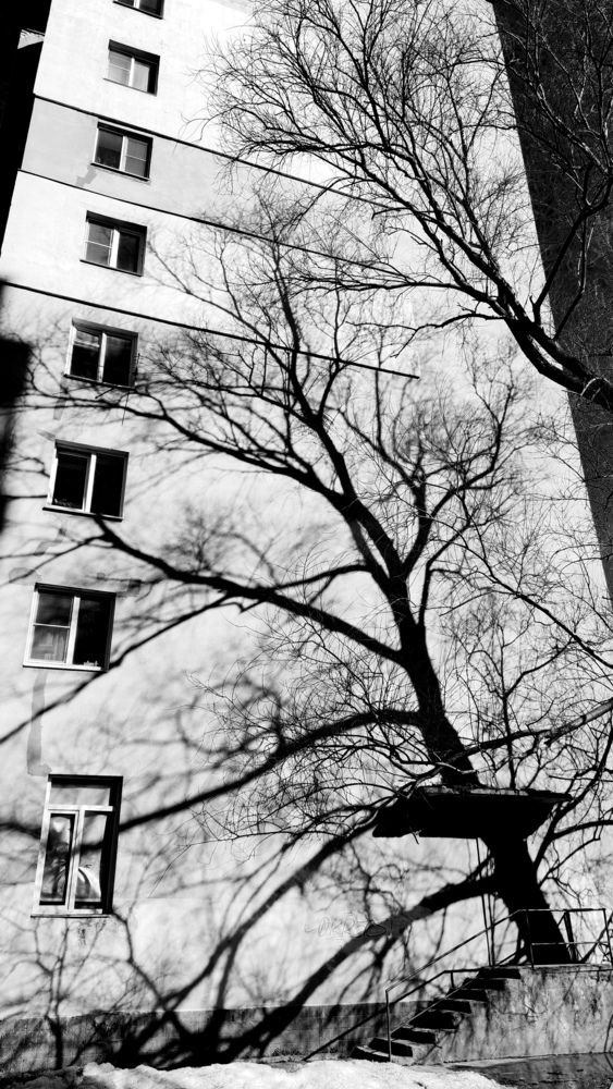 Photograph by Дарья Улюсова