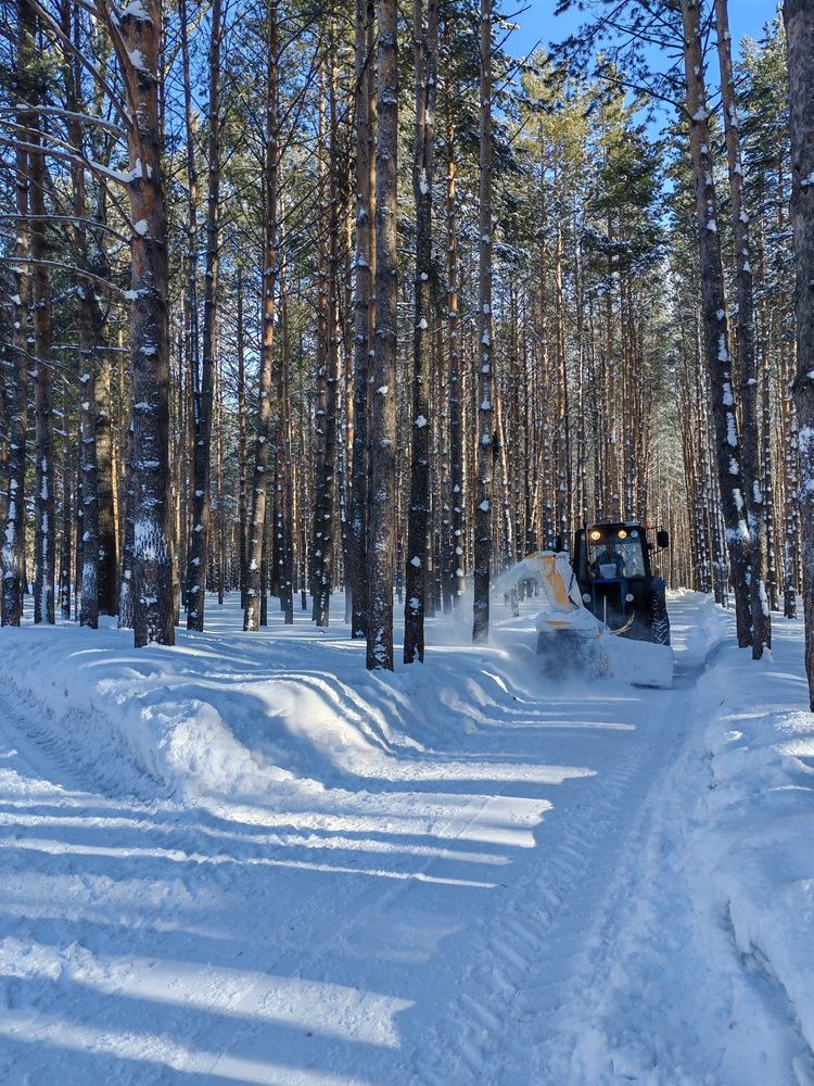 Photo #13459703