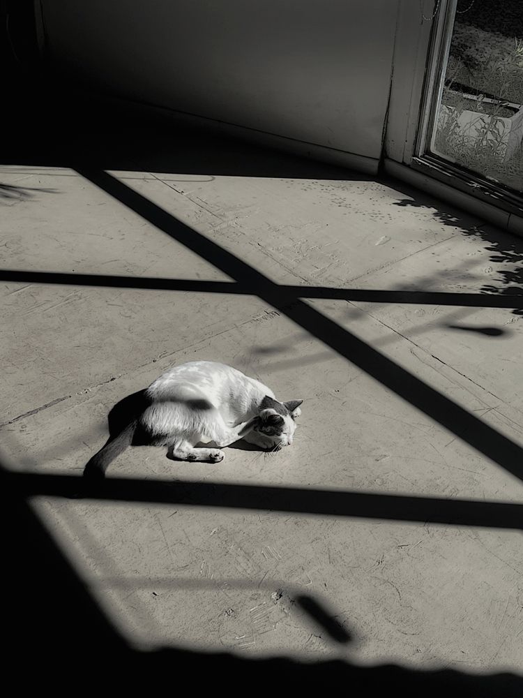 Фотография автора Viviana García