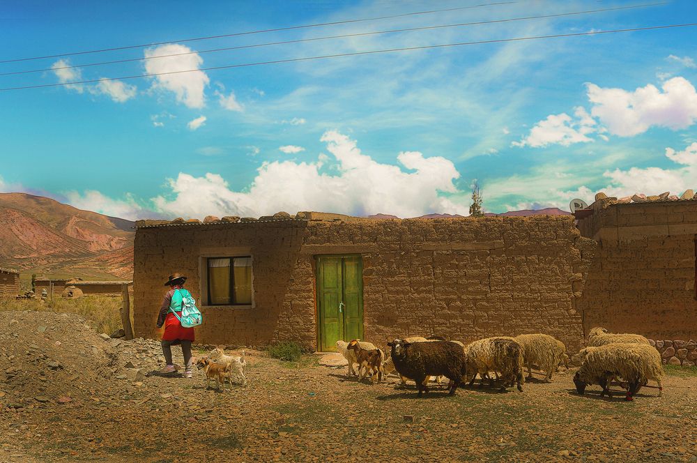 Фотография автора Viviana García