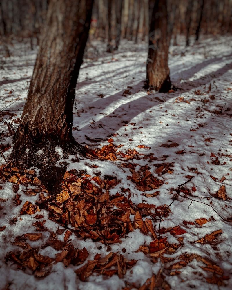 Photograph by Юлия Куклина