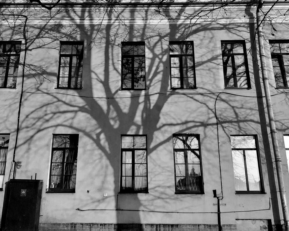 Photograph by Евгений Устинов