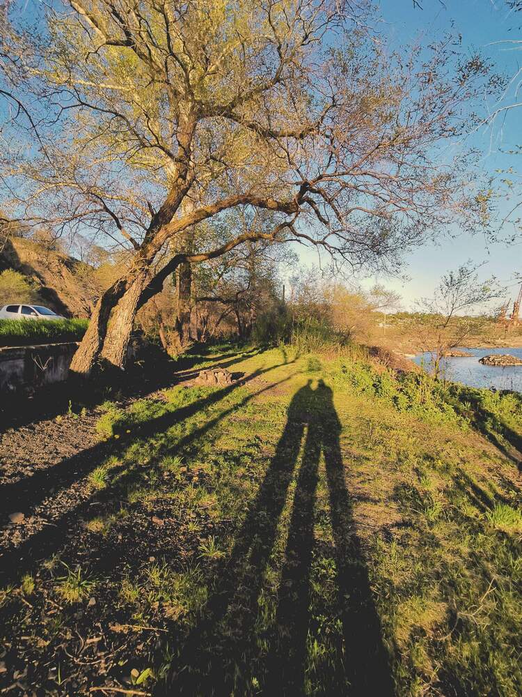 Photograph by Людиншина Ирина
