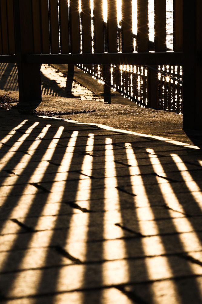 Photograph by Bùi Nguyễn