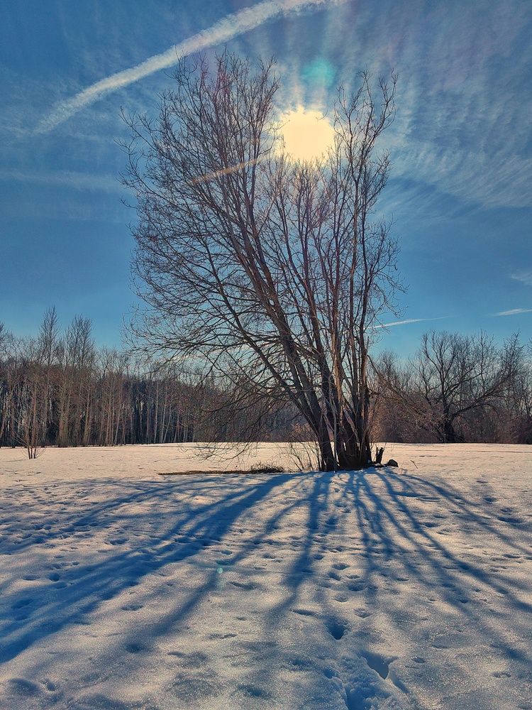 Photograph by Анастасия Кременчугская
