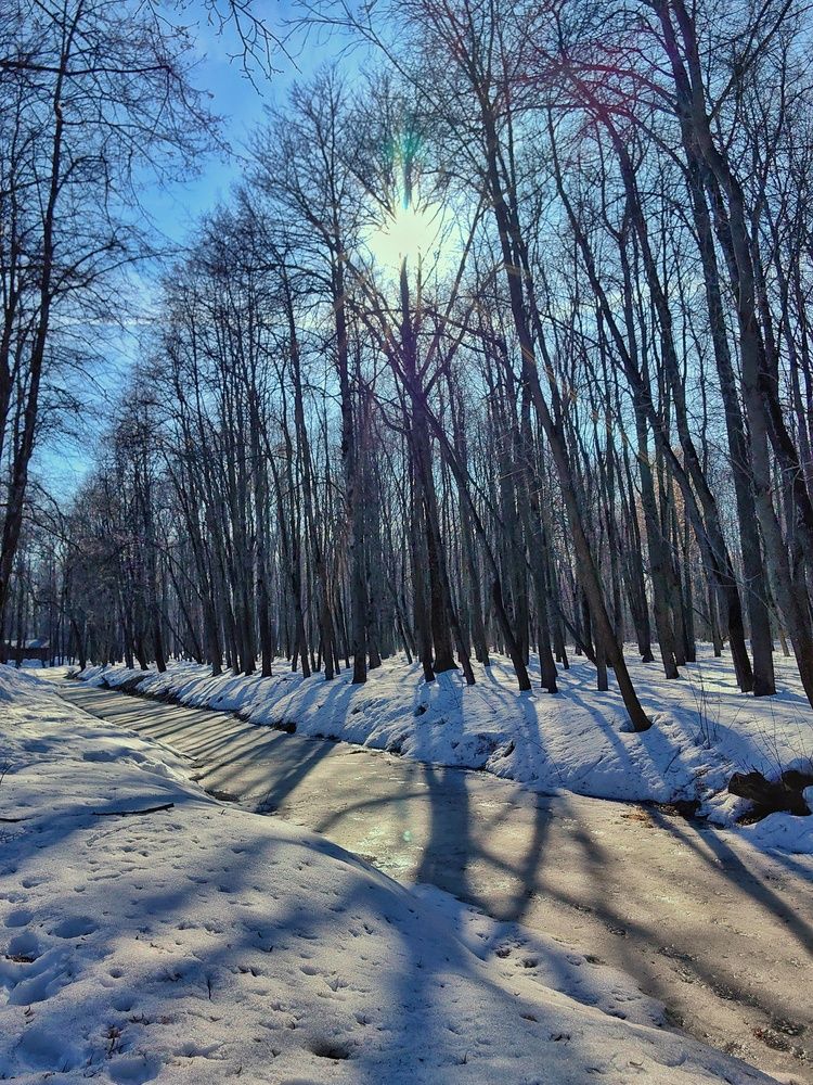 Photograph by Анастасия Кременчугская