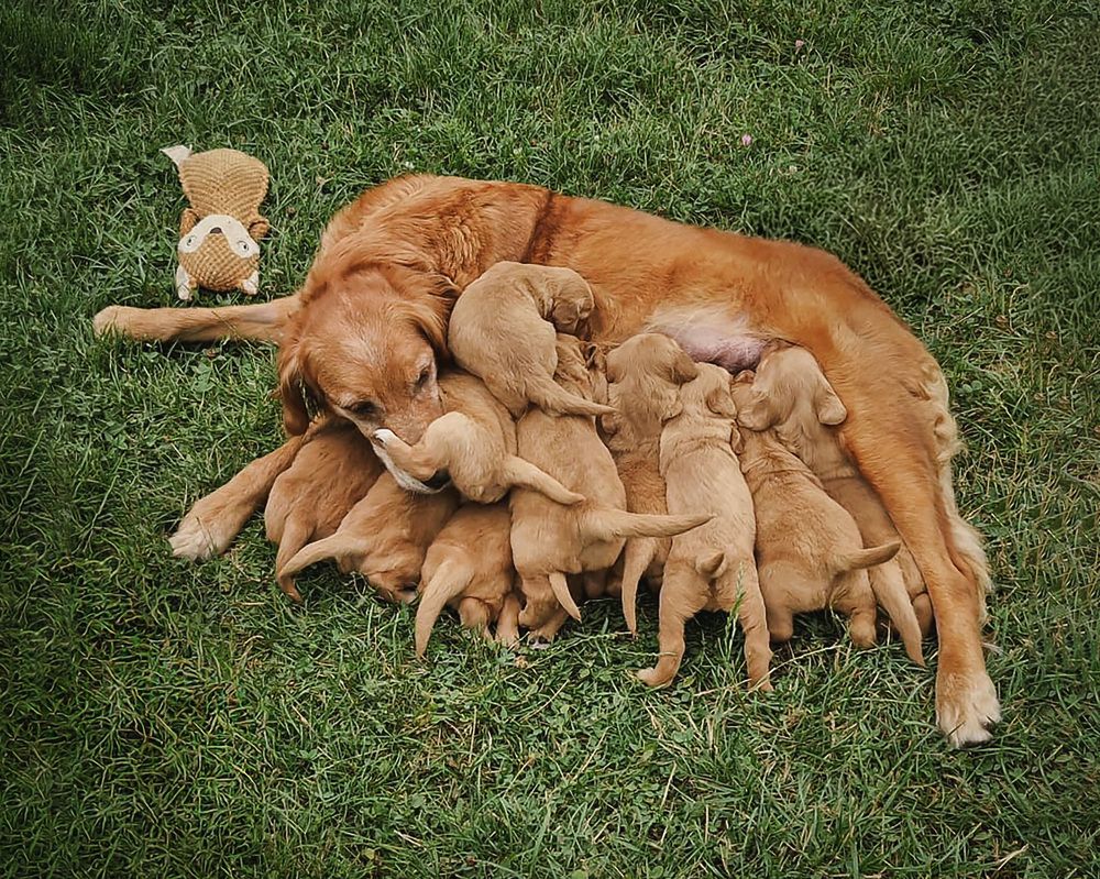 Photograph by Meilleurs Moments