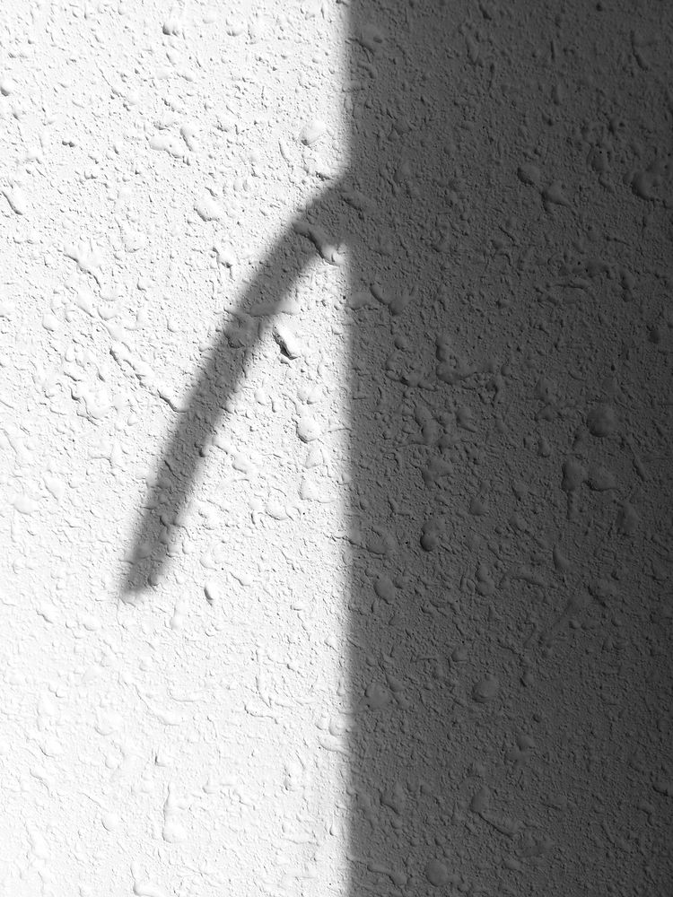 Photograph by Валерий