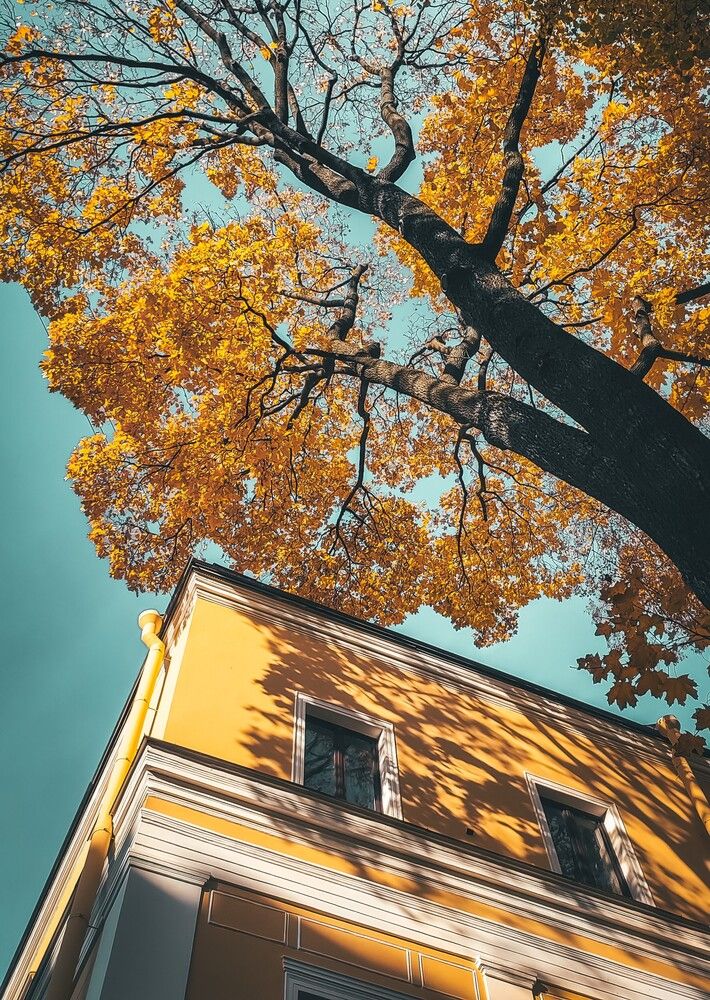 Photograph by Екатерина Никитина