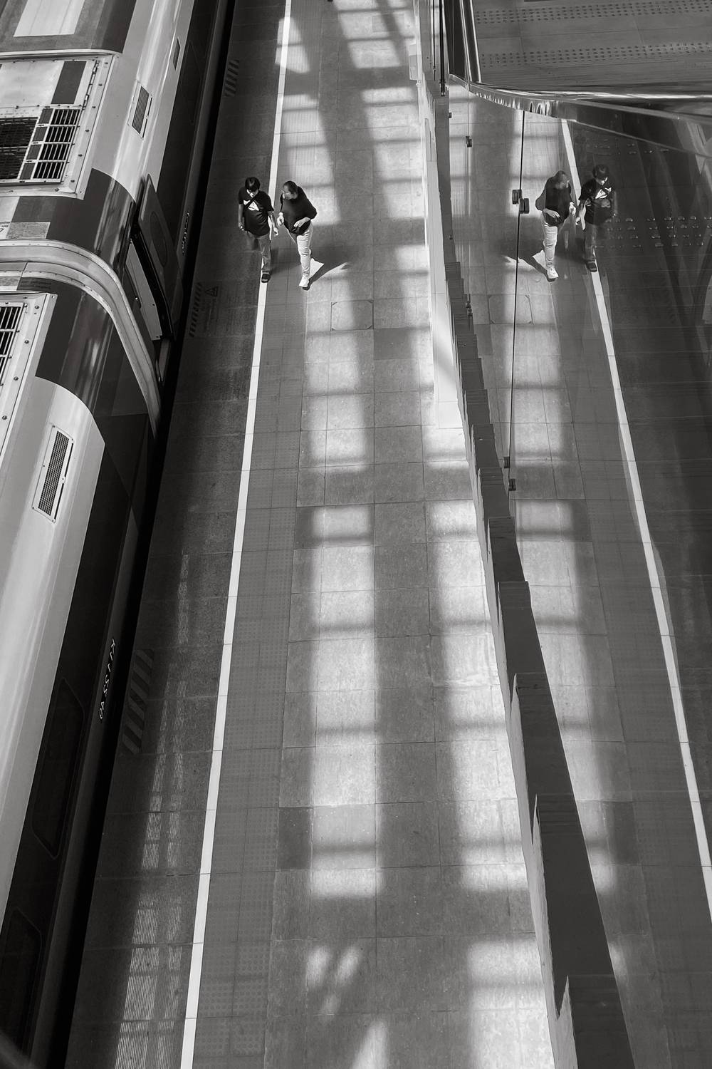 Фотография #13460236