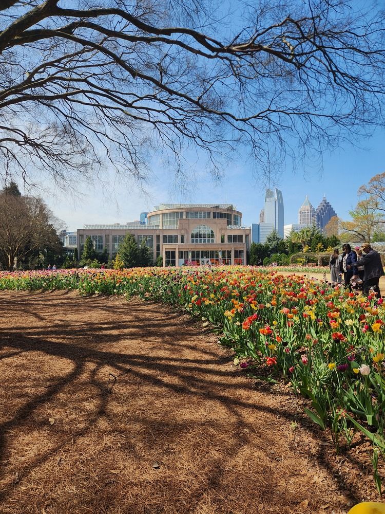 Photograph by Elena Shliachkova