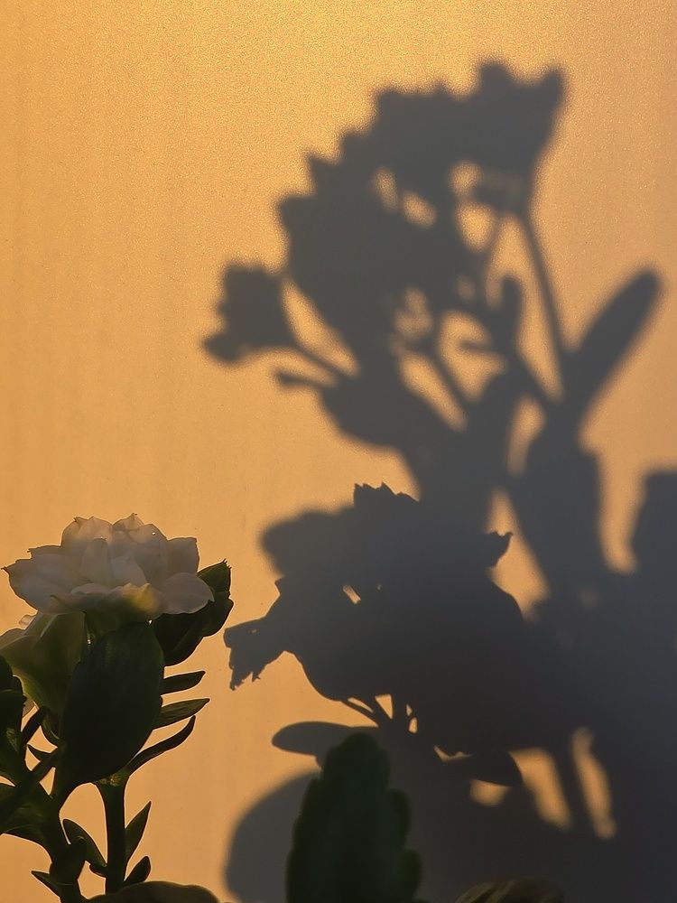 Photograph by Светлана Кустова