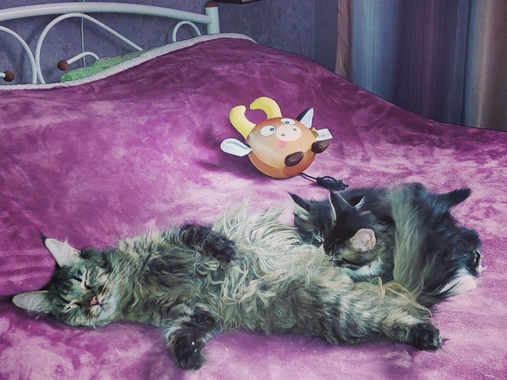 Photograph by Анастасия