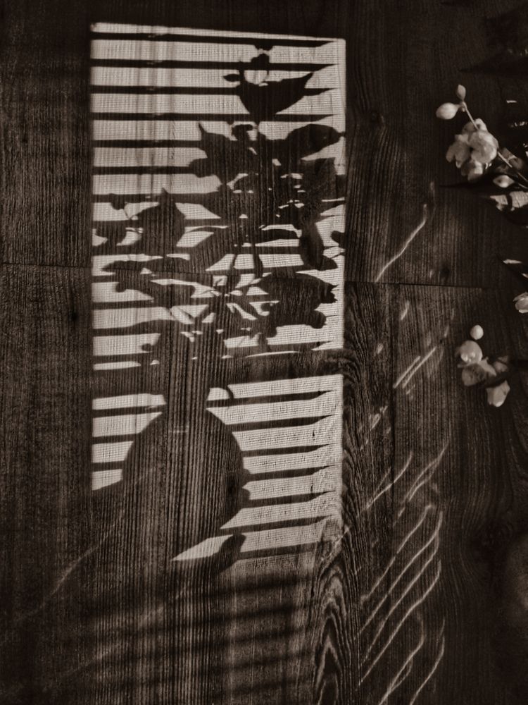 Photograph by Инна Мухина