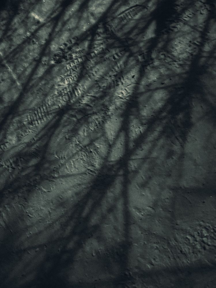 Photograph by Галина Шиманцова