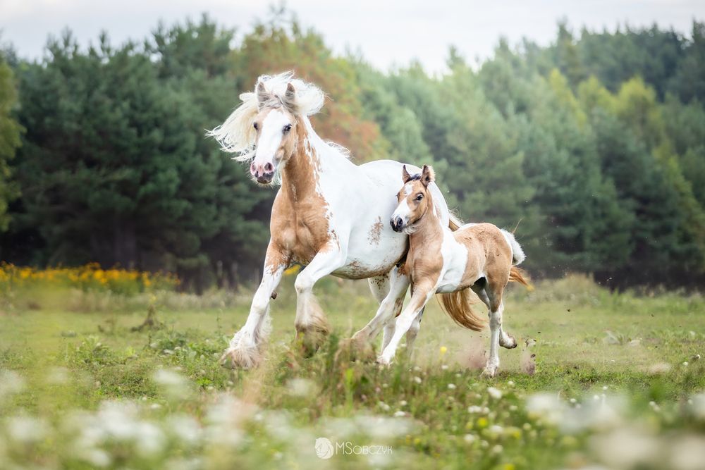 Photograph by Martyna Sobczyk