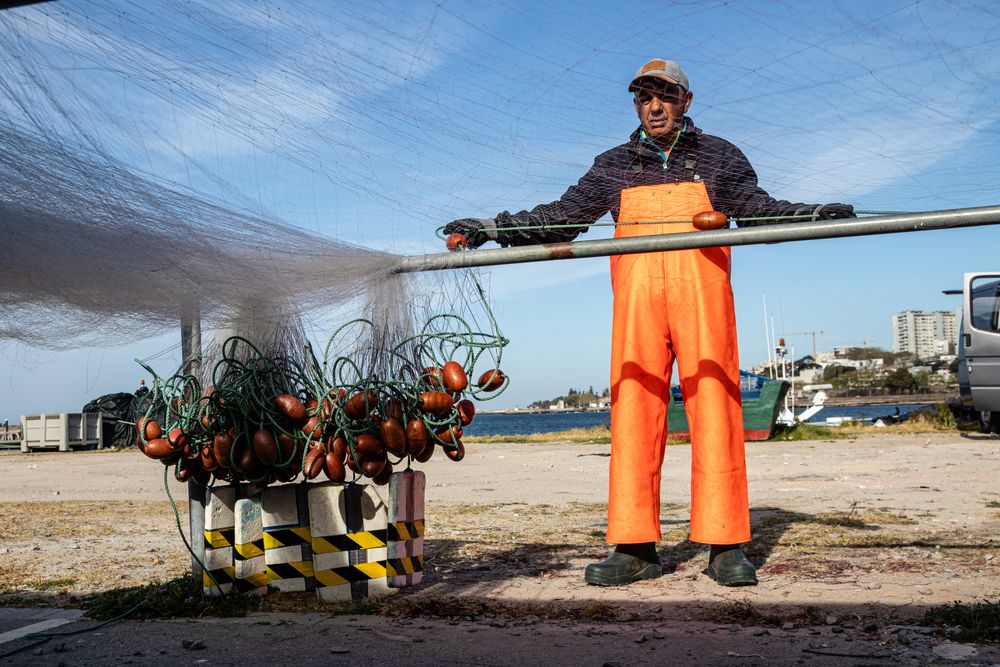 Фотография автора Sérgio Bruno Brandão