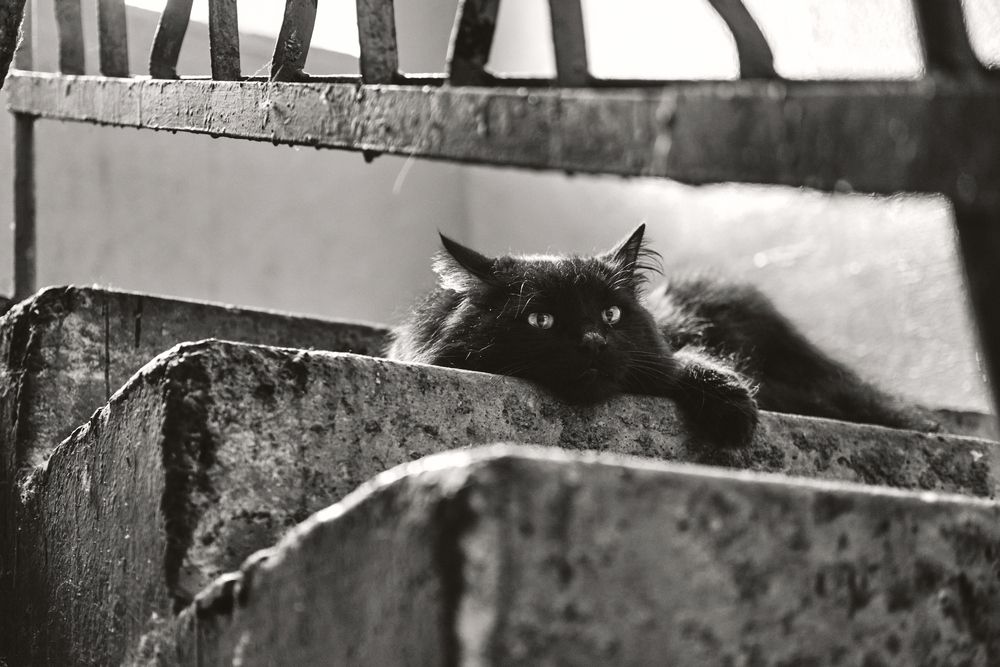 Фотография автора Sergey Mokosin