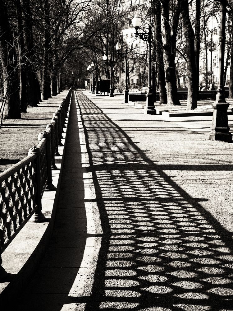Photograph by Оксана Короткая