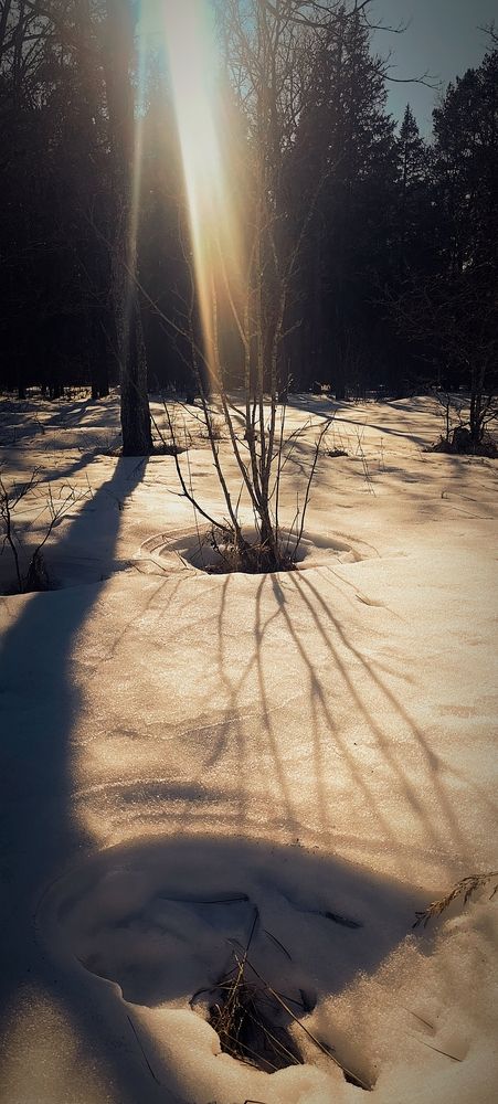Photograph by Irina Prazdnikova