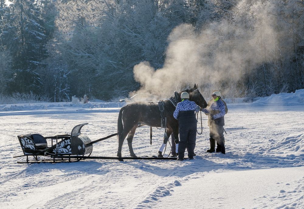 Фотография автора Наталья Липовская