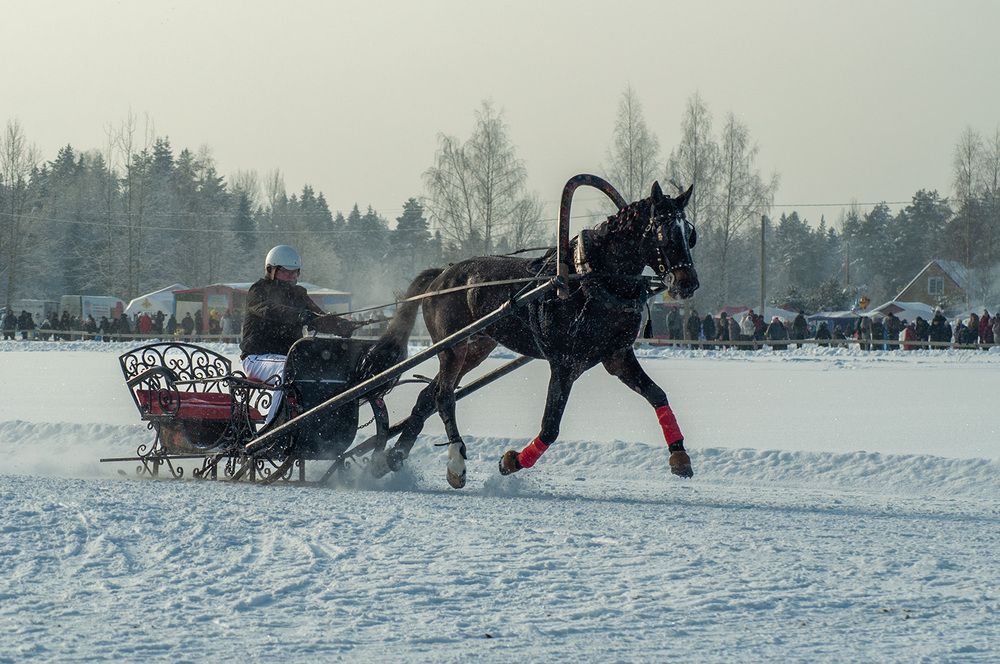 Фотография автора Наталья Липовская